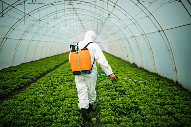 Best Local Pest Control Services  in East Dublin, GA