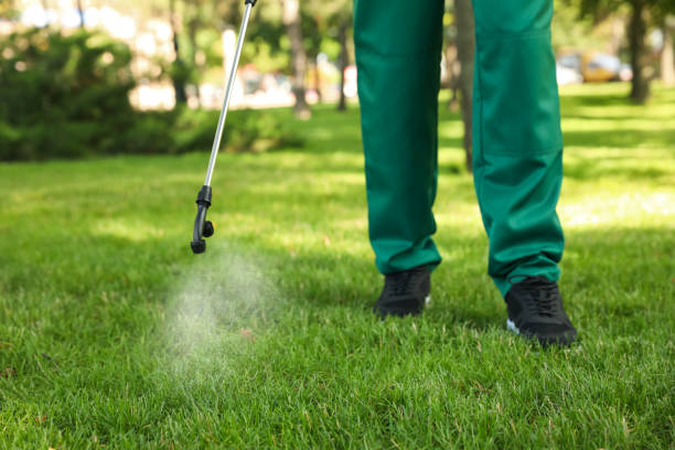 Wasp Removal Services in East Dublin, GA