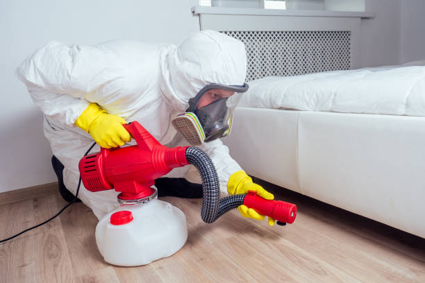 Trusted East Dublin, GA Pest Control Experts
