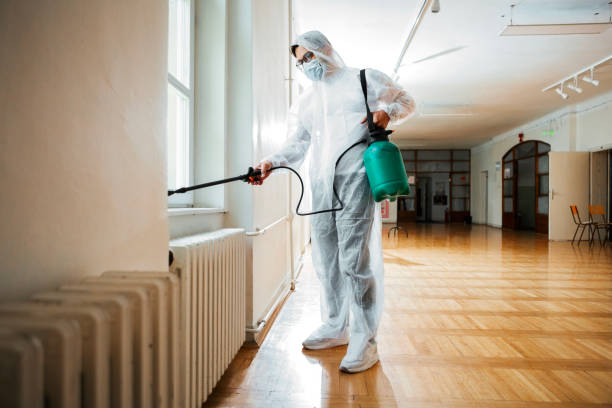 Best Flea Control Services  in East Dublin, GA