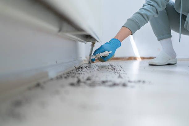 Wildlife Control Services in East Dublin, GA